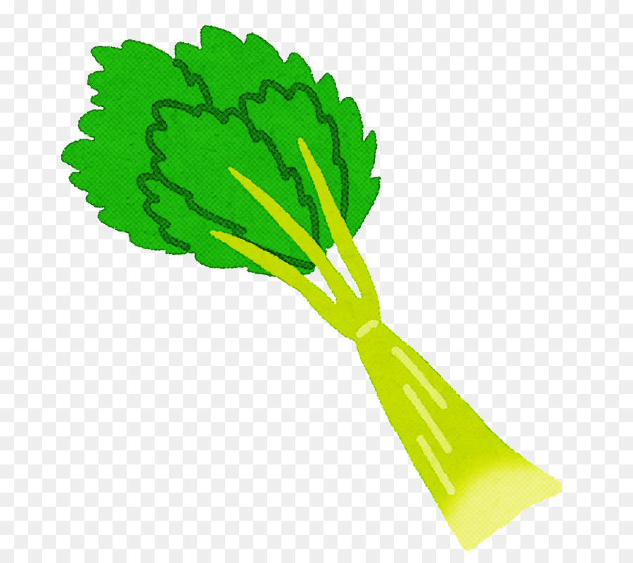 Vert，Légumes PNG