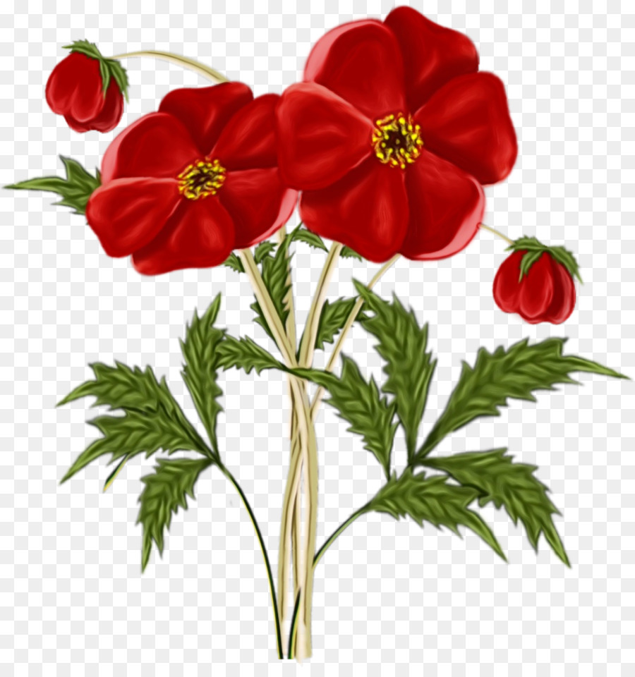 Fleur，Plante PNG