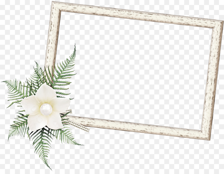 Cadre Décoratif，Fleur PNG