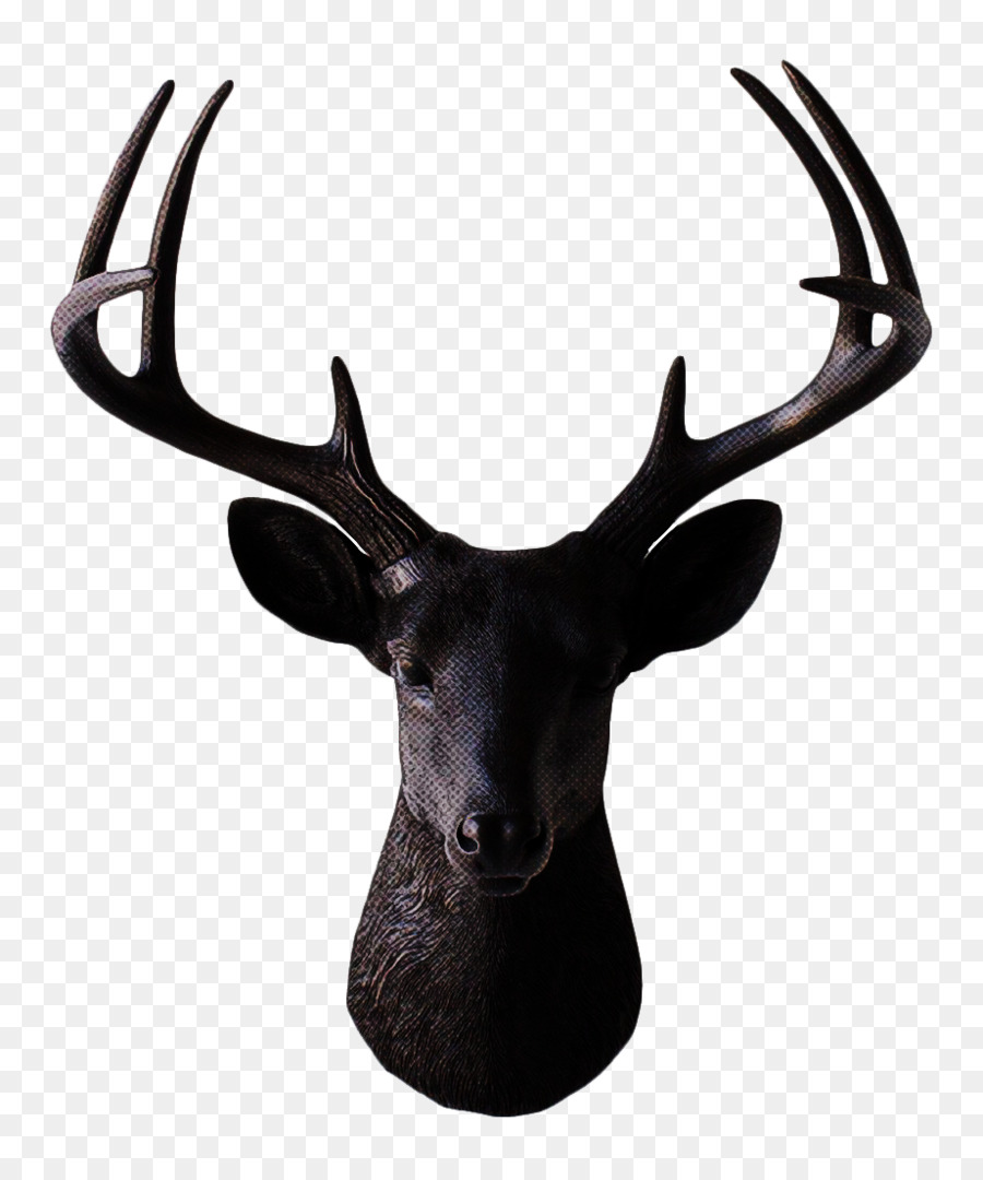 Tête De Cerf Jaune，Cerf PNG