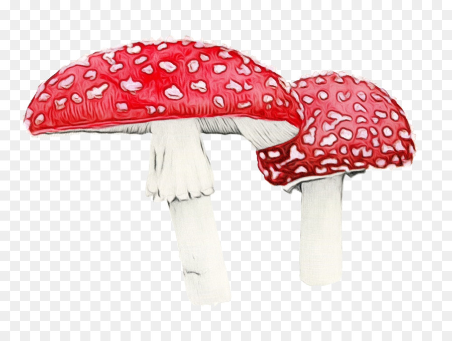 Rouge，Champignons PNG