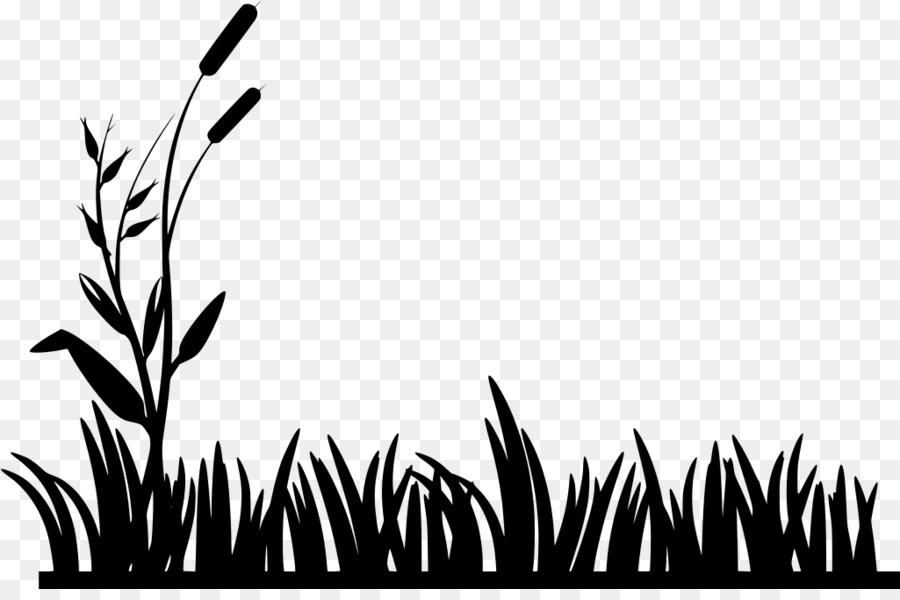 Silhouette D'herbe，Plantes PNG