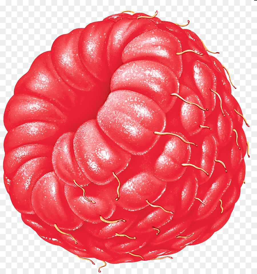 Framboise，Rouge PNG