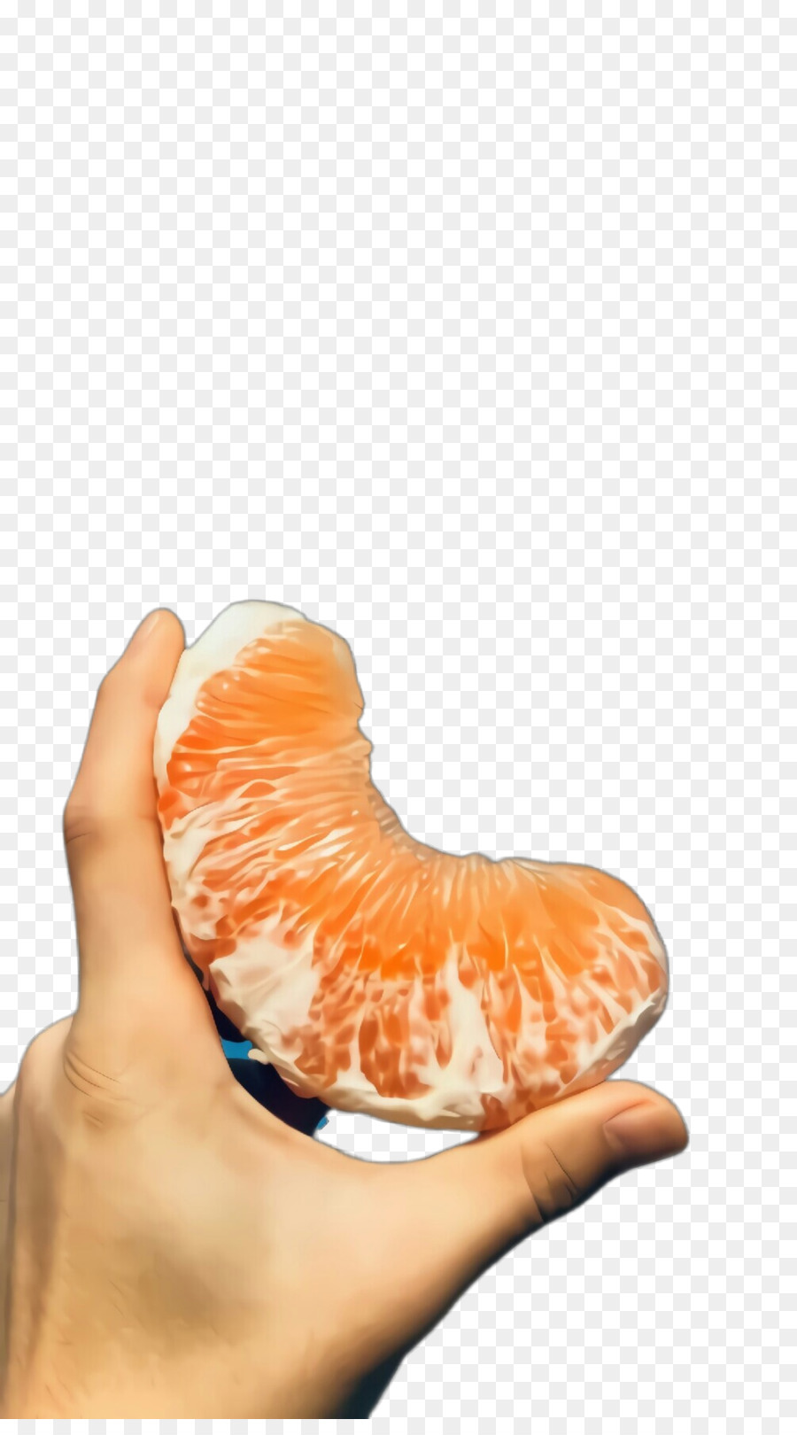 Orange，La Peau PNG