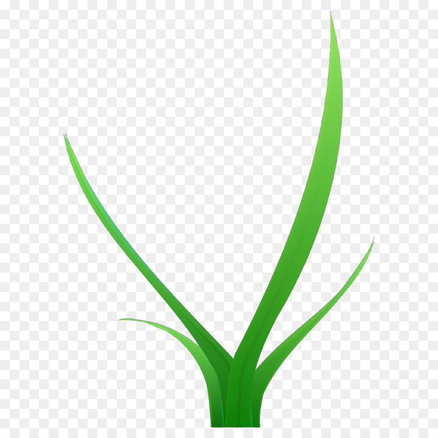 Vase à Fleurs，Plantes PNG