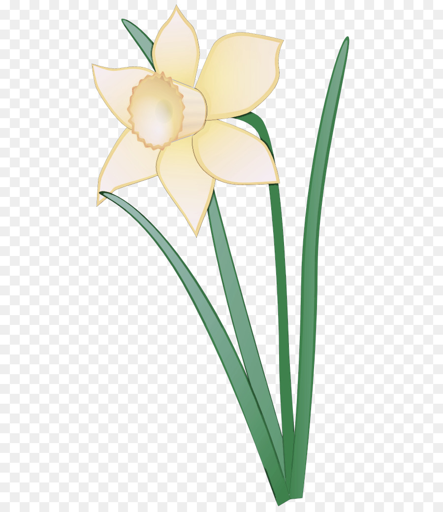 Fleur Jaune，Usine PNG