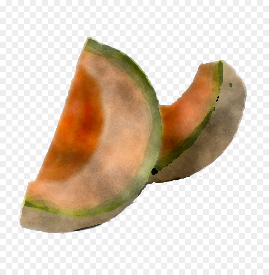 Feuille，Plante PNG