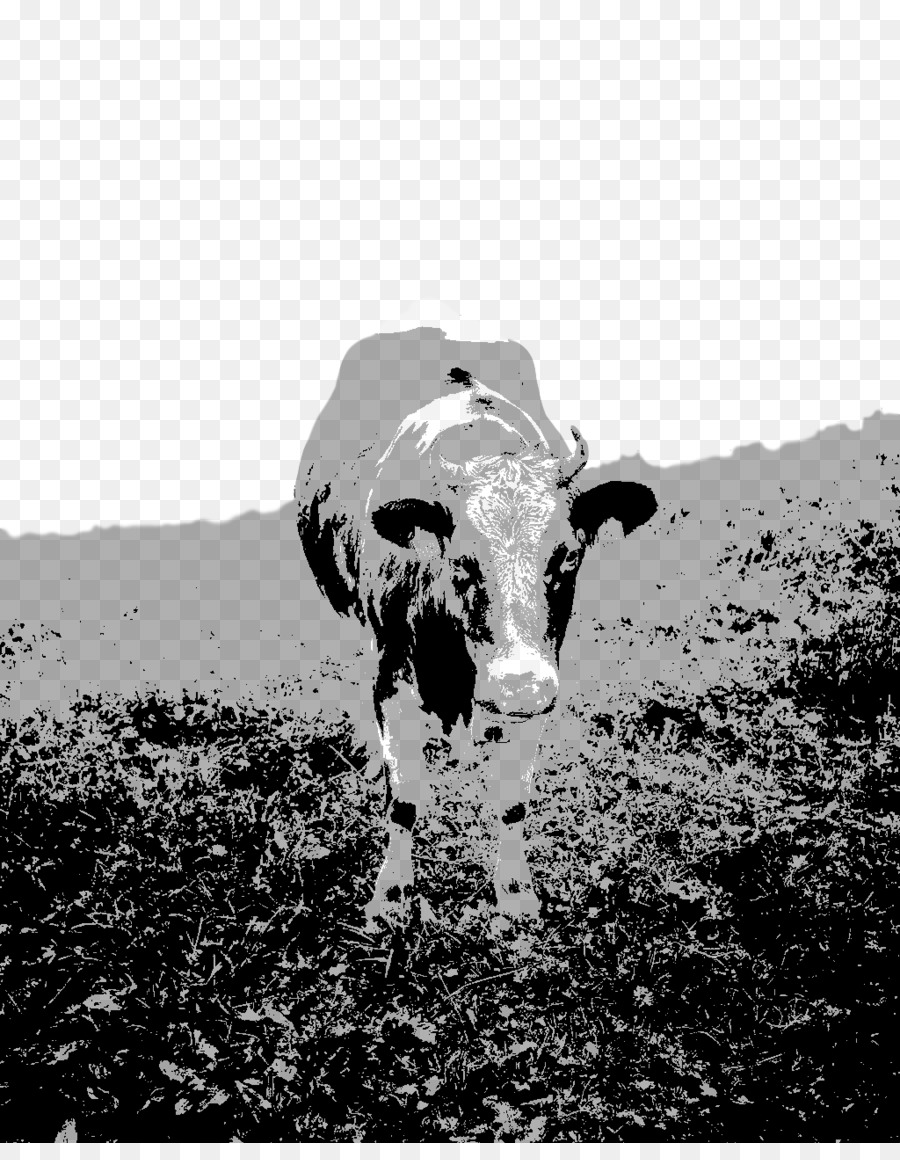 De L'espèce Bovine，Blackandwhite PNG