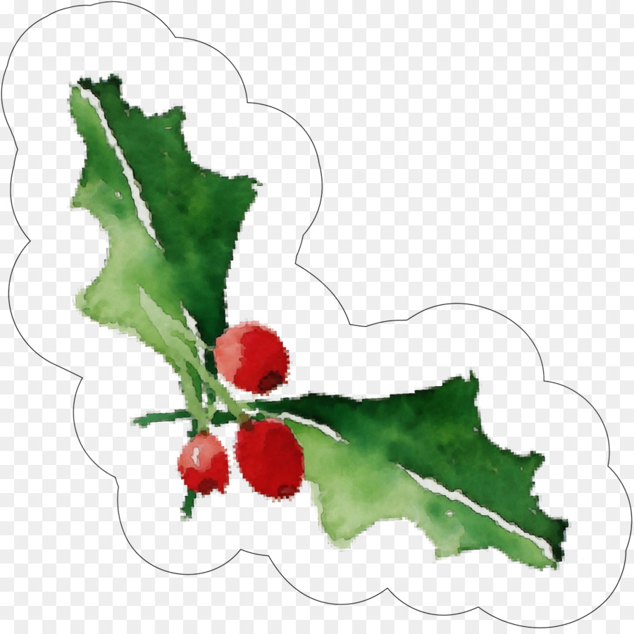 Le Houx，Feuille PNG