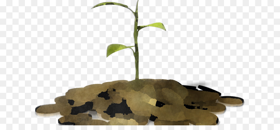 Feuille，Plante PNG