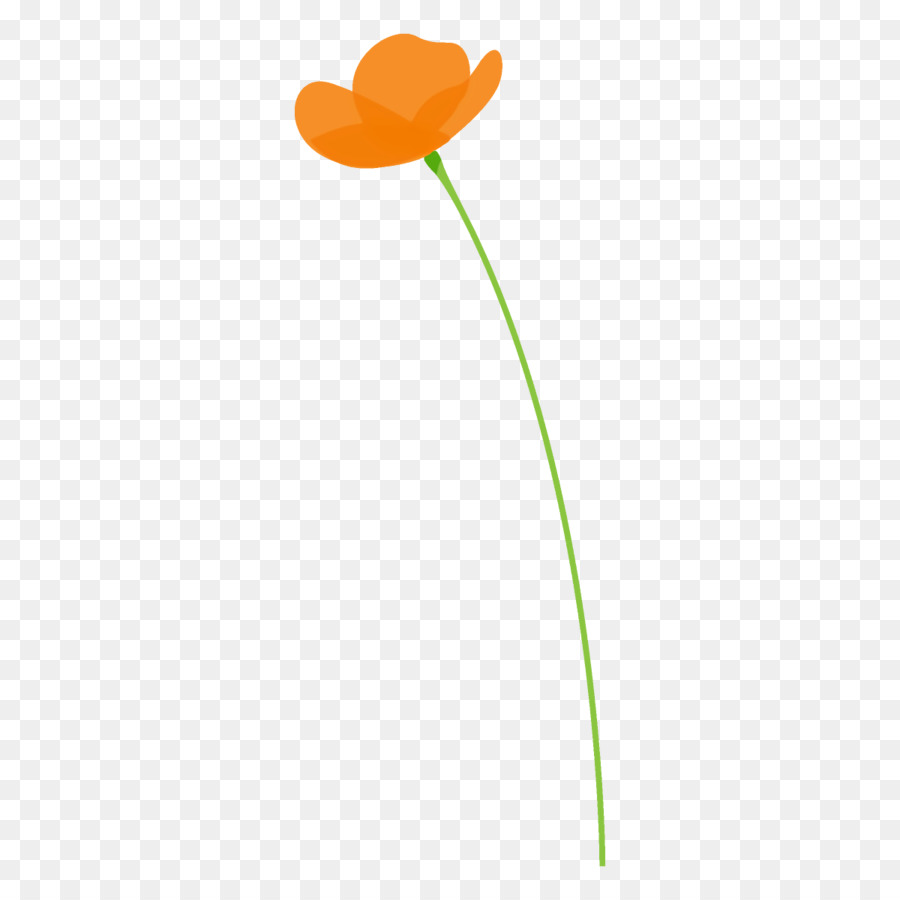 Tige De La Plante，Feuille PNG