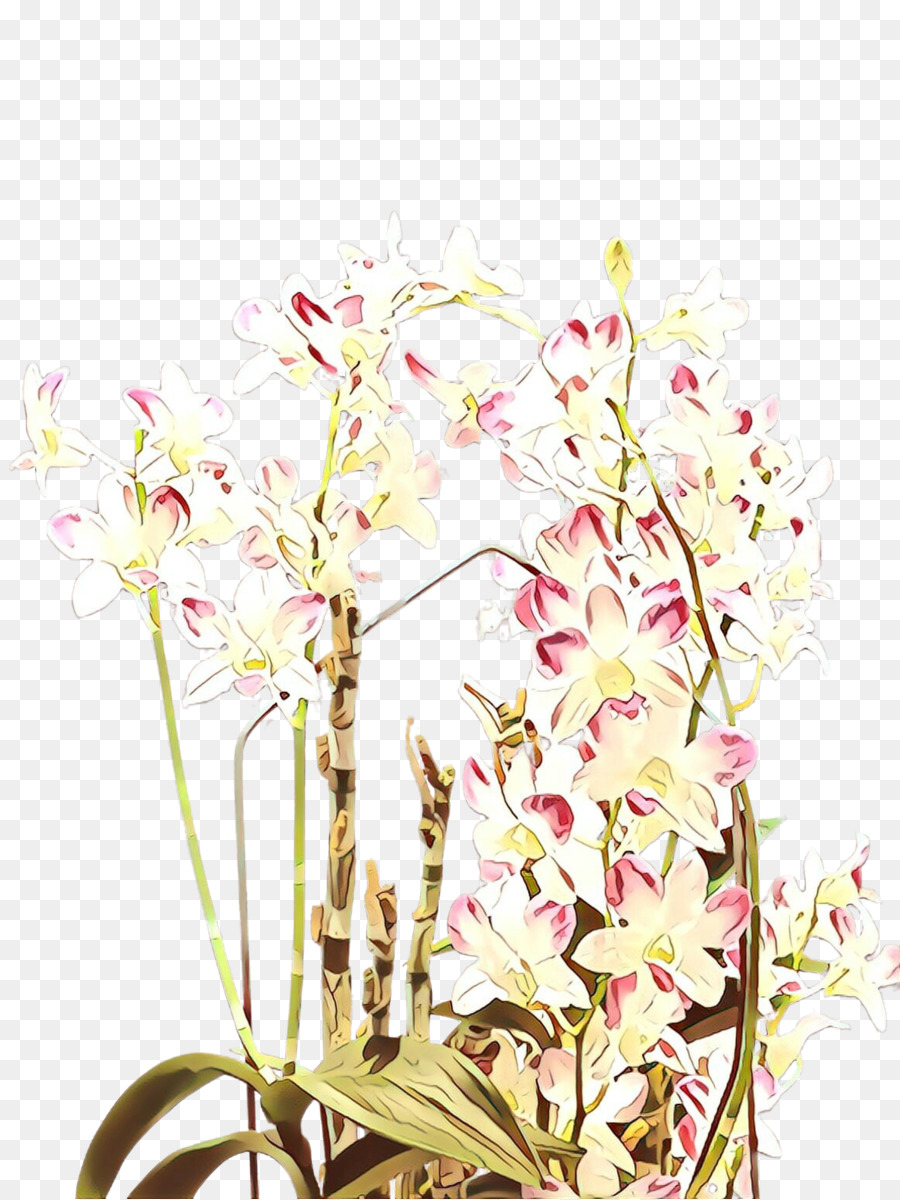 Fleur，Plante PNG