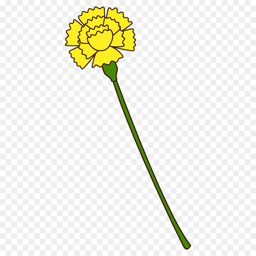 Plante，Fleur PNG