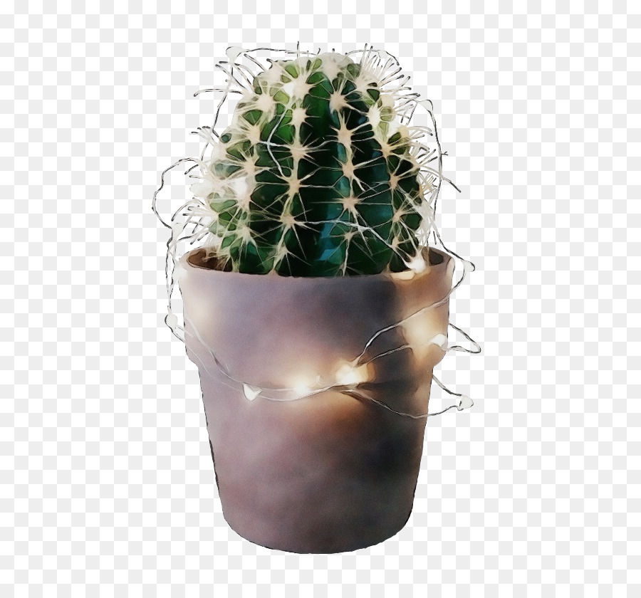 Cactus，Lumières PNG