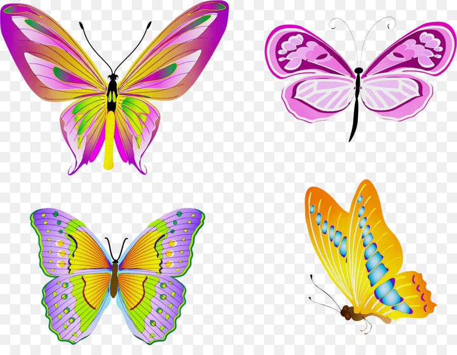 Papillons，Ailes PNG