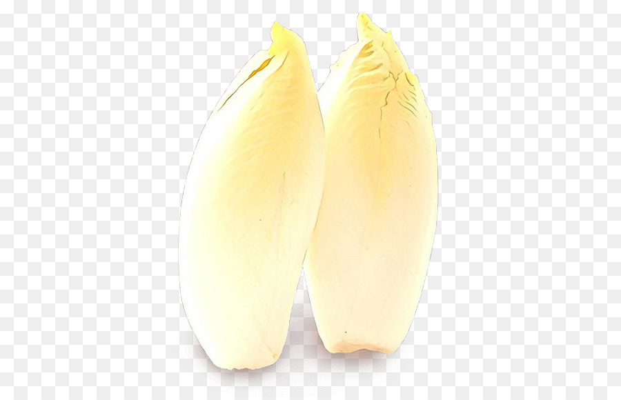 Jaune，Plante PNG