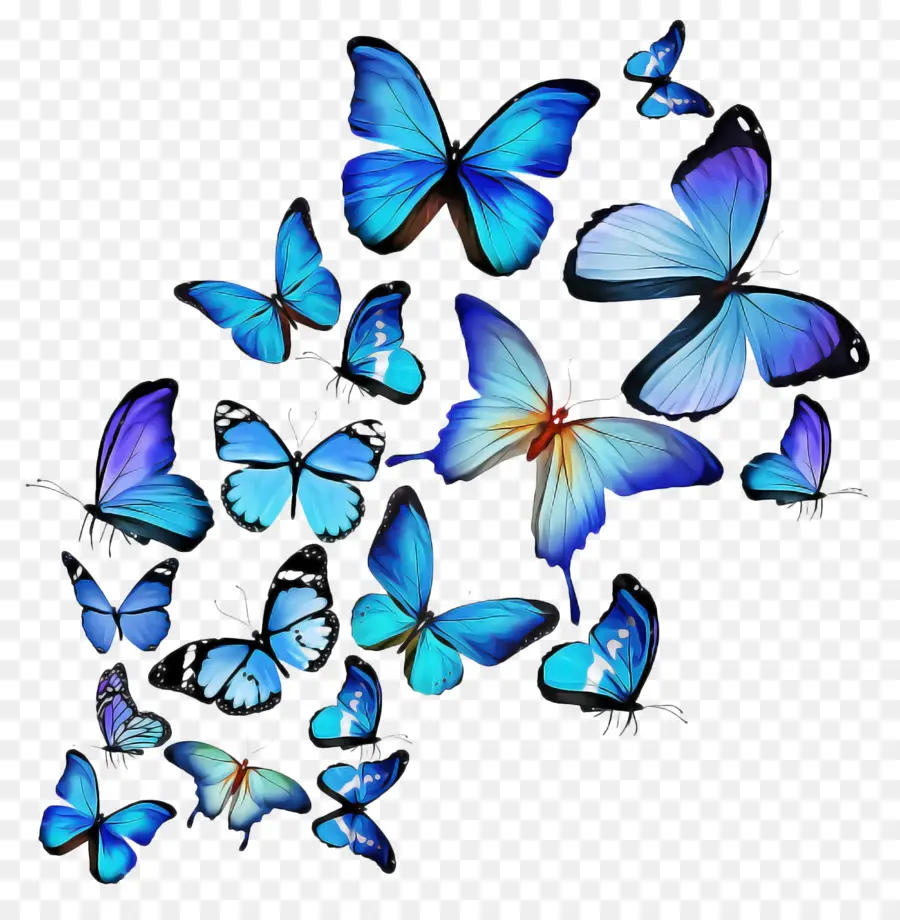 Papillon，Les Papillons Et Les Papillons PNG