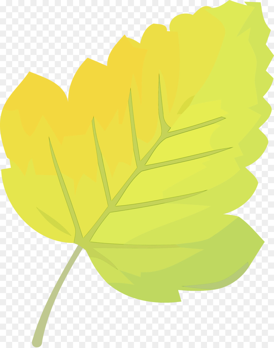 Feuille Jaune，Bifurquer PNG