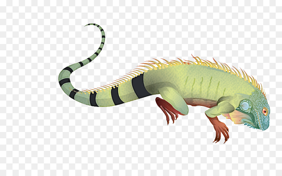 Reptile，Figurine Animale PNG