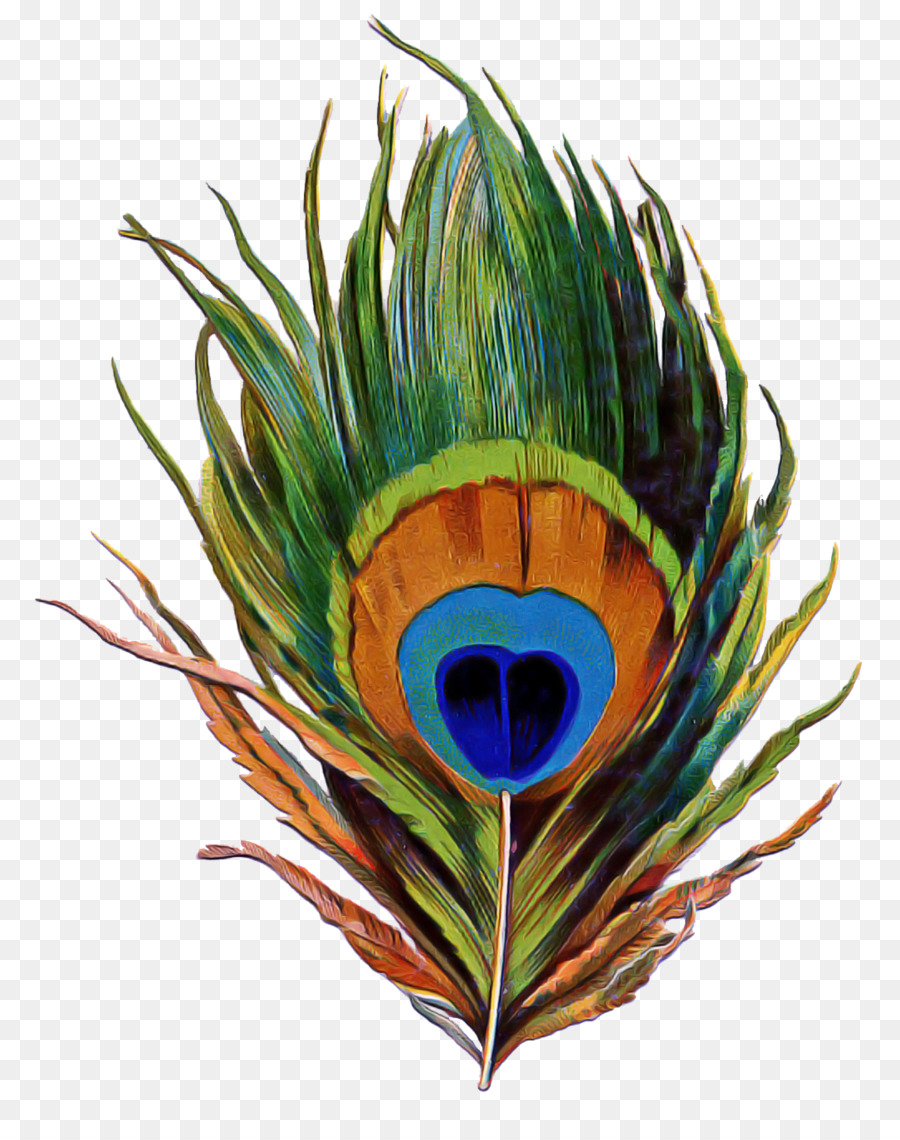 Plume，Plante PNG