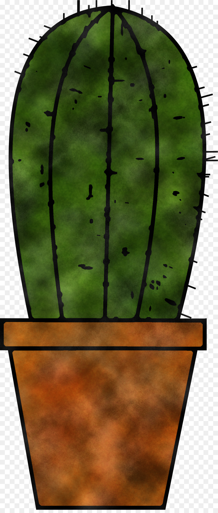 Cactus，Vert PNG