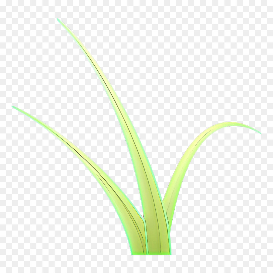 Herbe，Vert PNG