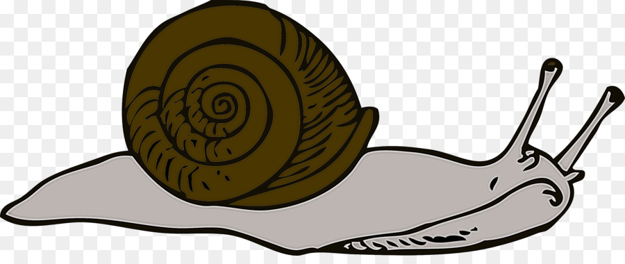 Escargot，Coquille PNG