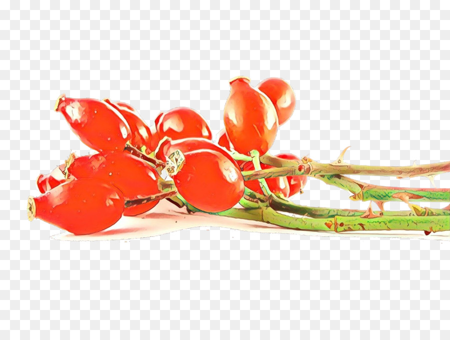 Rouge，Plante PNG