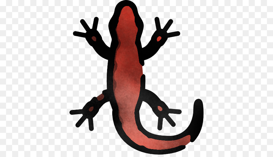 Gecko，Grenouille PNG