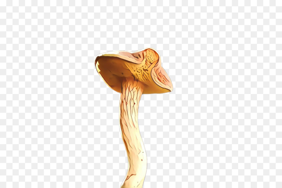 Commune，Champignons PNG