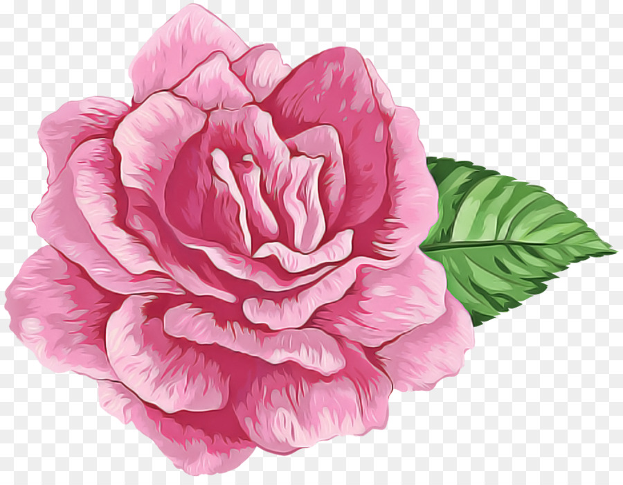 Rose，Fleur PNG