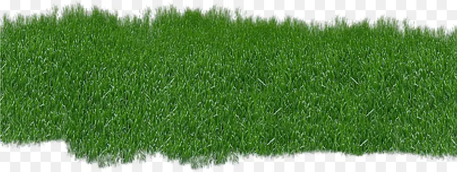 Herbe，Pelouse PNG