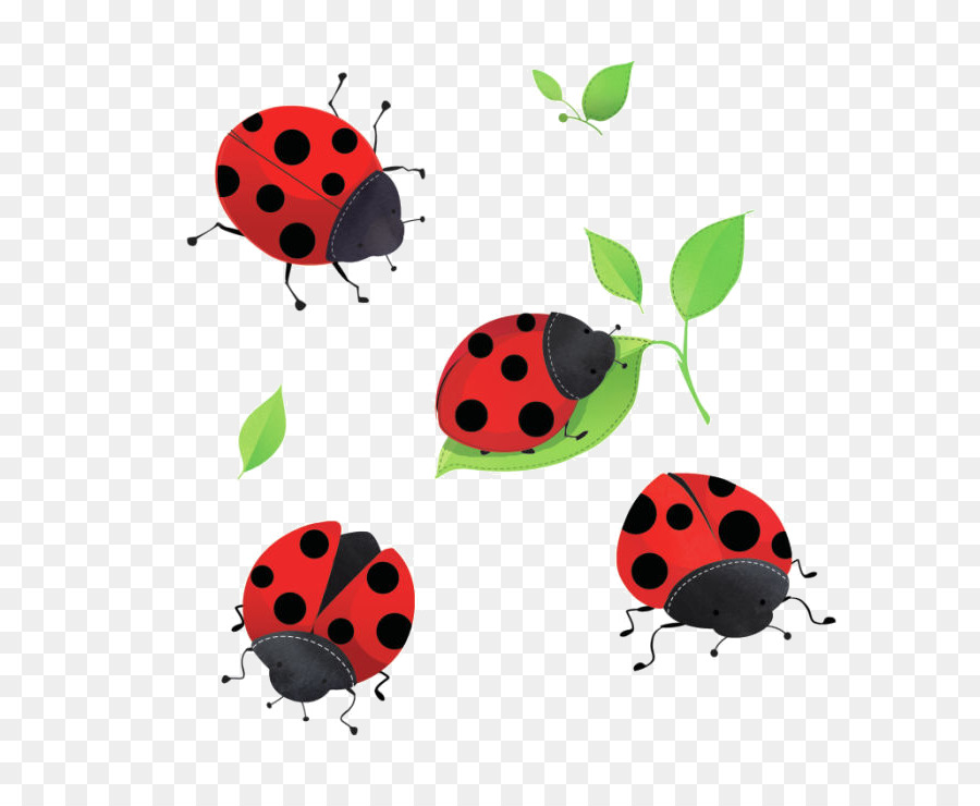 Coccinelles，Rouge PNG