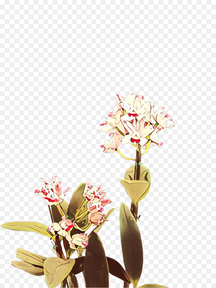 Fleur，Plante PNG