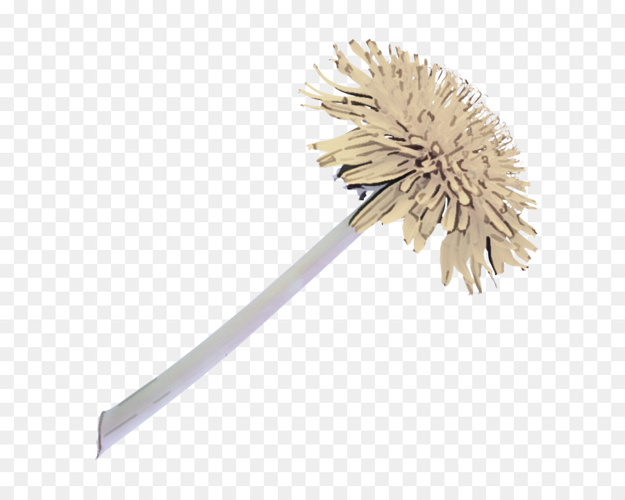 Brosse，Plante PNG