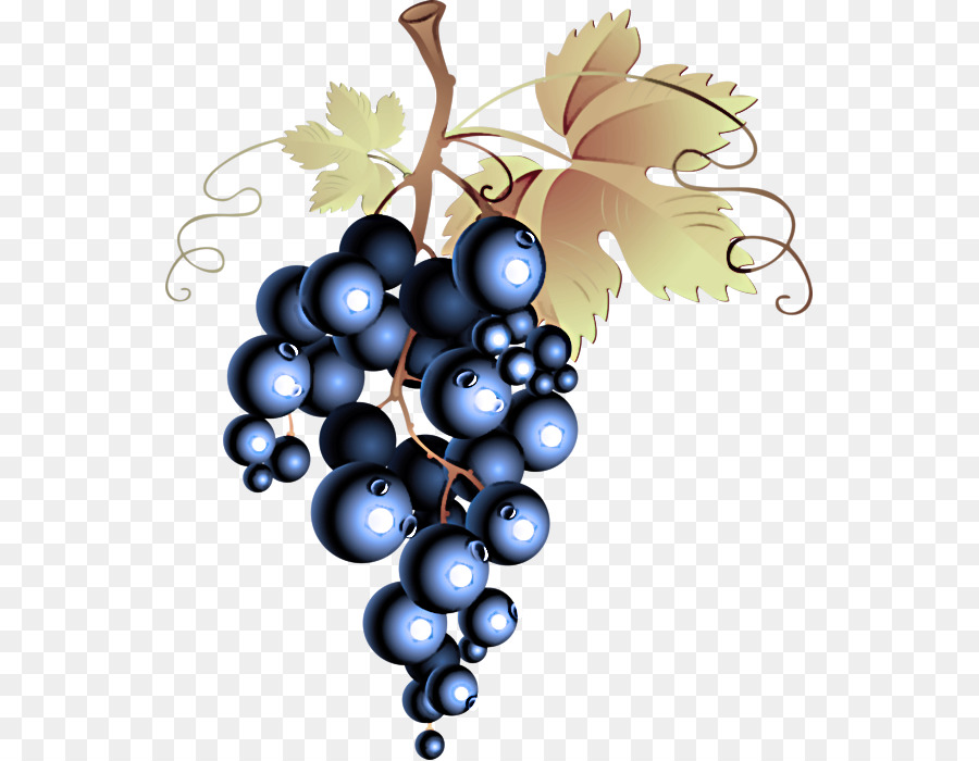 Raisins Violets，Feuilles PNG