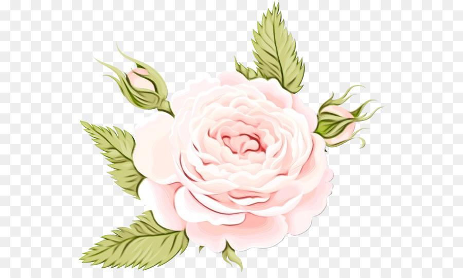 Fleur，Rose PNG