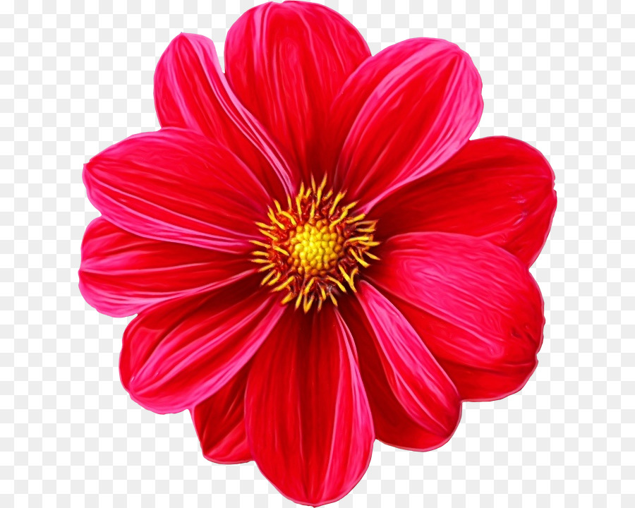 Fleur，Rouge PNG