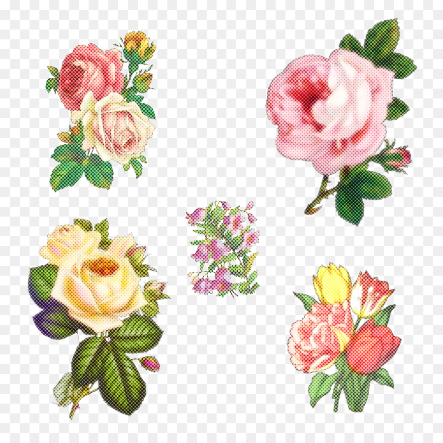 Fleur，Rose PNG