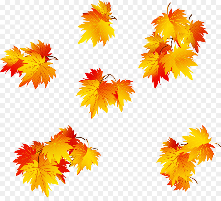 Feuilles D'automne，Automne PNG