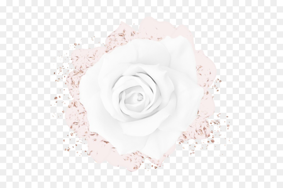 Blanc，Rose PNG