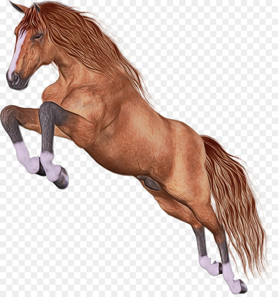 Cheval Qui Court，Animal PNG