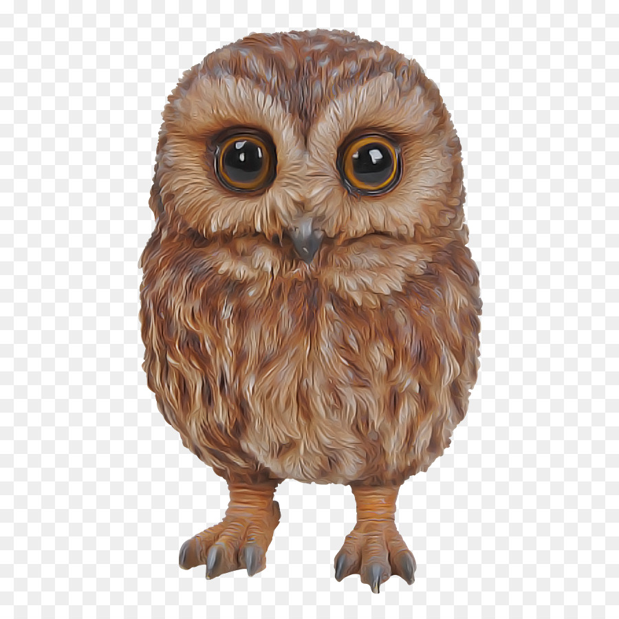 Hibou，Bifurquer PNG