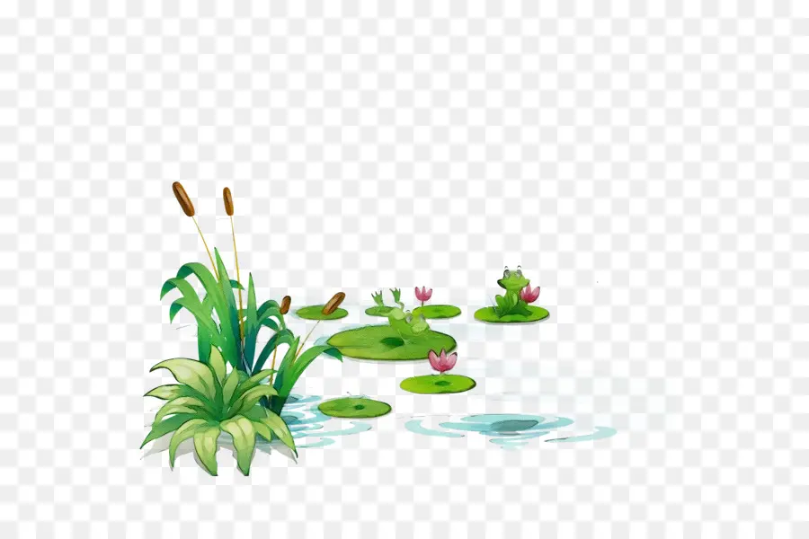 Vert，Aquarium Décor PNG