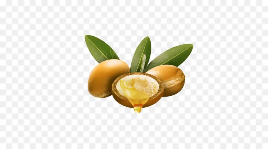 Noix D'argan，Huile PNG