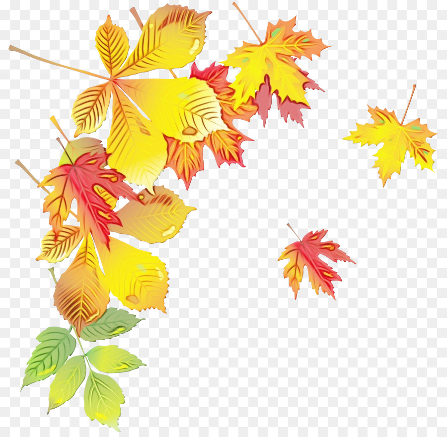 Feuilles D'automne，Automne PNG