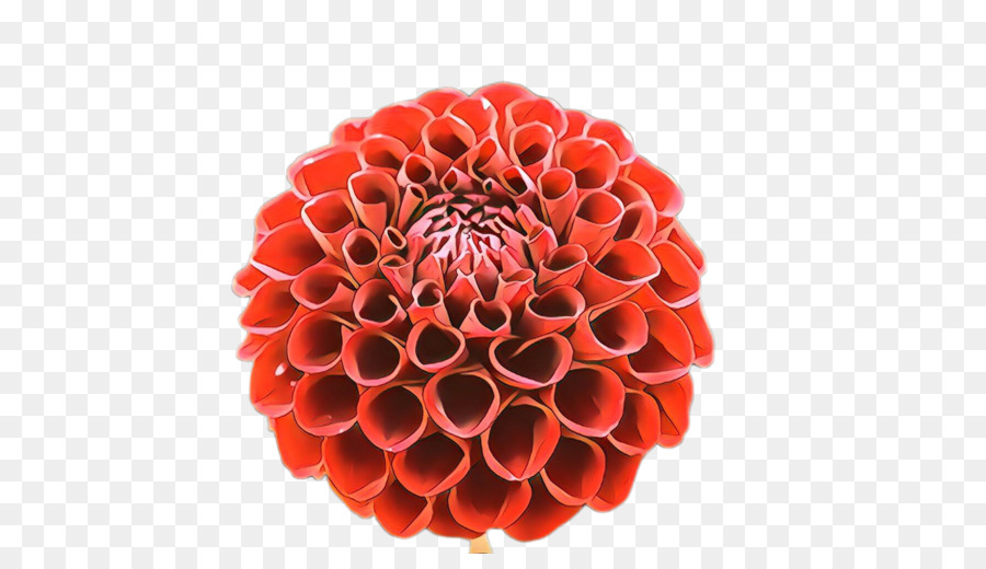 Rouge，Fleur PNG