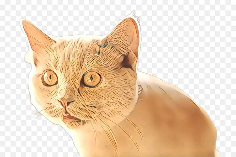 Chat，Animal De Compagnie PNG