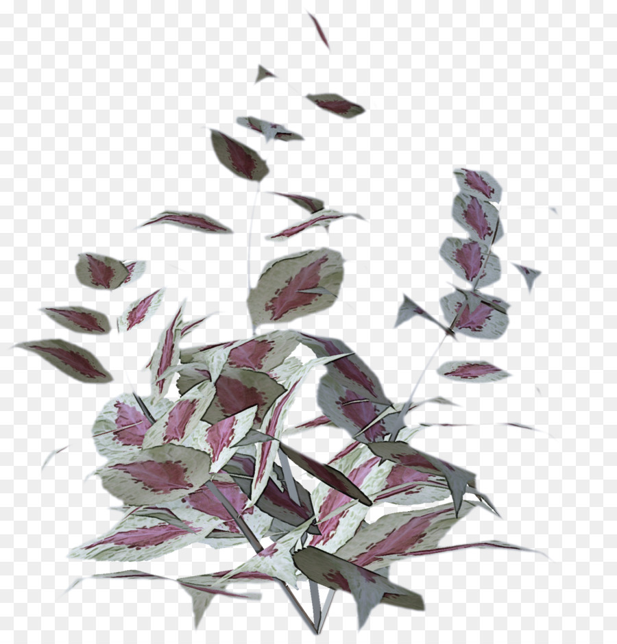 Plante，Fleur PNG