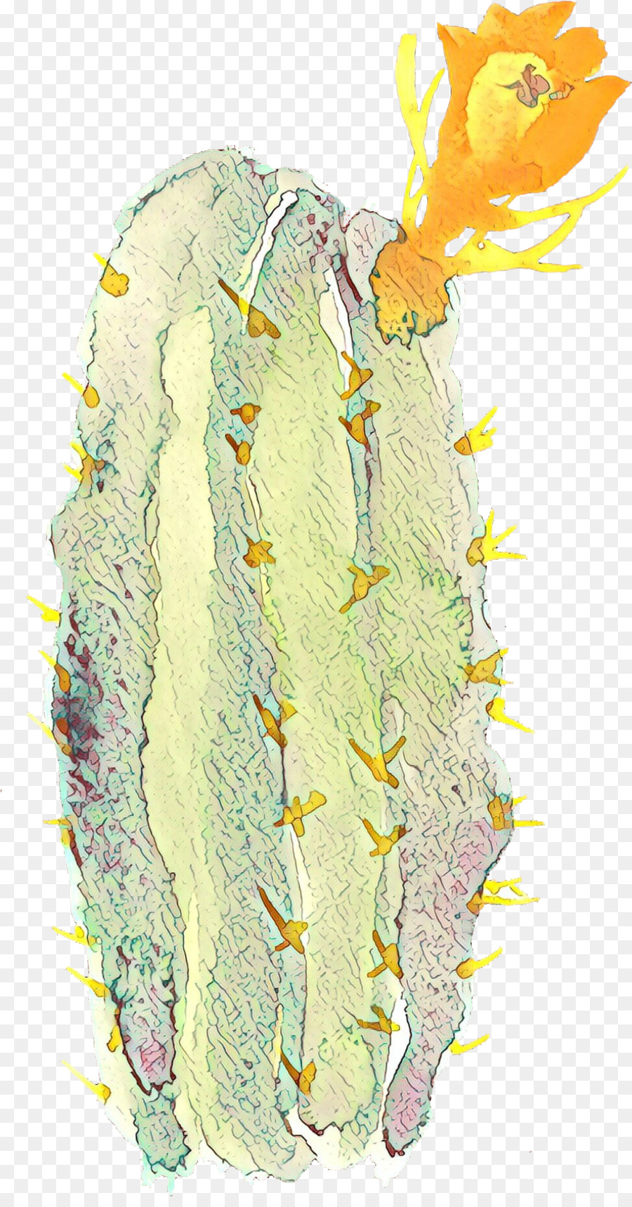 Cactus，Désert PNG